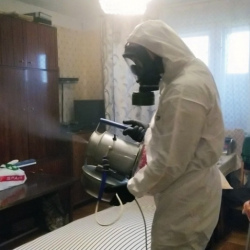 Дезинфекция от клопов в Сасово