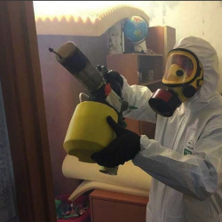 Уничтожение клопов в квартире. Сасово